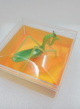 博山灯工琉璃螳螂摆件