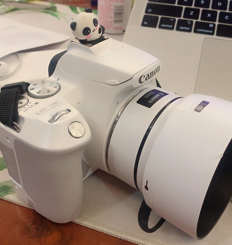 适用于佳能EF50f1.8stm三代贴膜