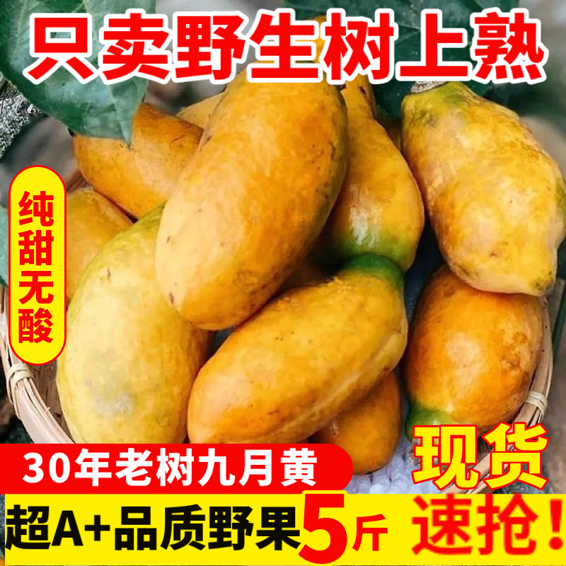 牛卵坨八月瓜新鲜野生水果网红九月黄罗藤包罕见水果木通果孕妇果