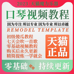 口琴视频教学儿童成人教程零基础自学10孔布鲁斯12孔复音24孔教材