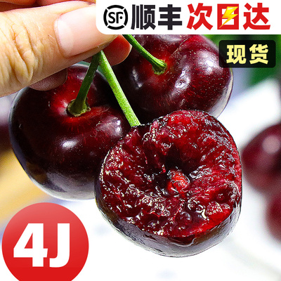 2025年智利新鲜车厘子