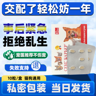狗狗猫咪璧孕事后紧急宠物避药孕急救药防止怀孕绝育药片长效母狗