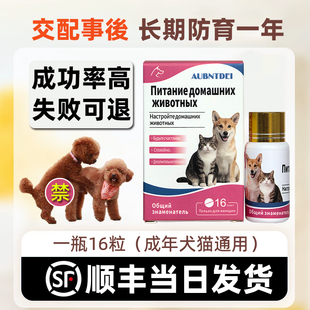 母狗事后长避效紧急母猫流狗浪猫防狗交配怀狗狗避蕴土狗