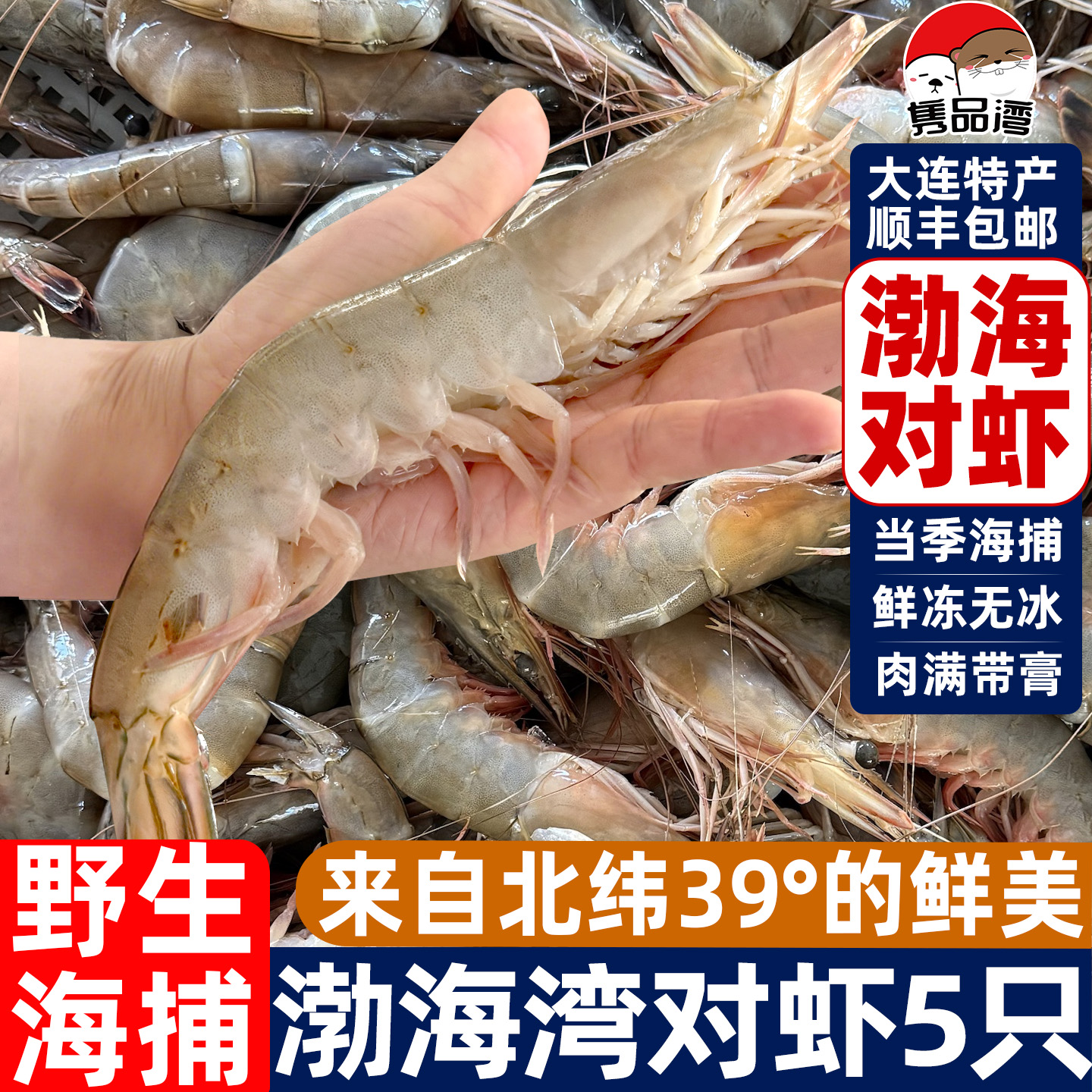 隽品湾野生海捕大对虾