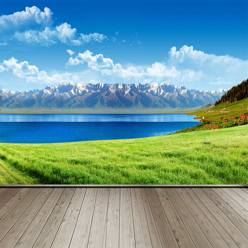 喜马拉雅雪山草原湖泊自然风景主题装饰壁画个性立体墙面装饰墙画
