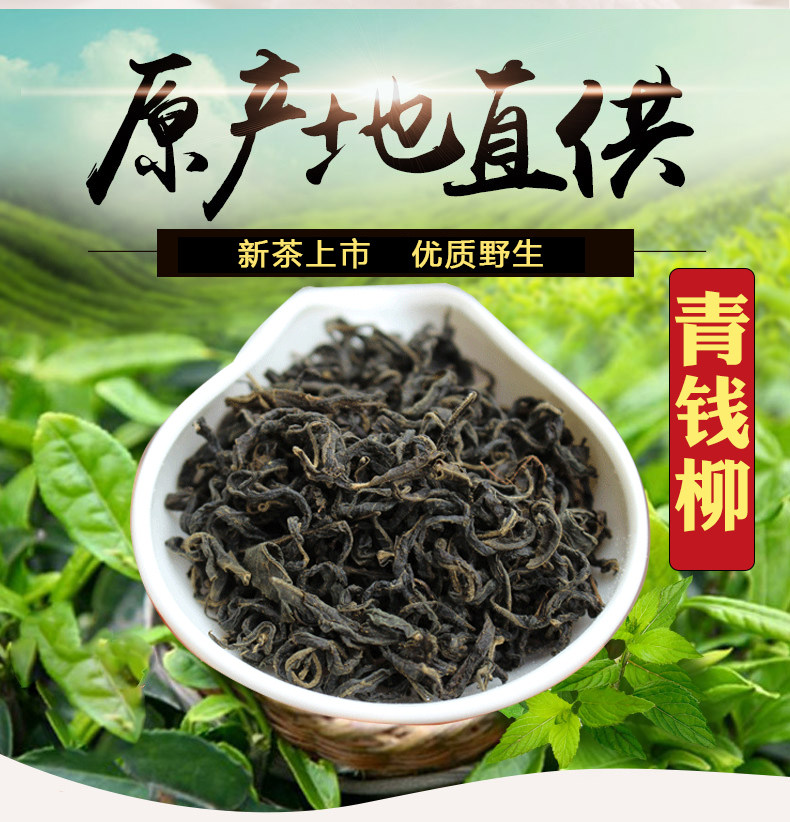 张家界青钱柳茶500克 青钱柳产地直发 金钱柳无梗无粉末包邮