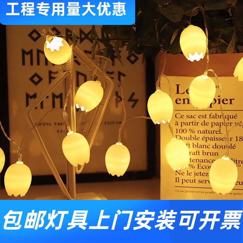 鸡蛋壳灯饰挂灯led小彩灯抖音其它灯具灯饰