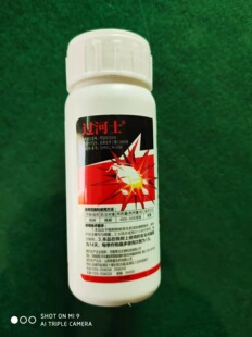 抗性蚜虫专用桃树花椒果树氟啶虫酰胺联苯菊酯花卉通用农药杀虫剂