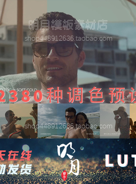 LUTs视频航拍VLOG视频调色CUBE预设AE PR PS FCPX DaVinciResolve