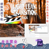 FCPX插件 20个唯美漂亮镜头漏光炫光动画转场过渡预设