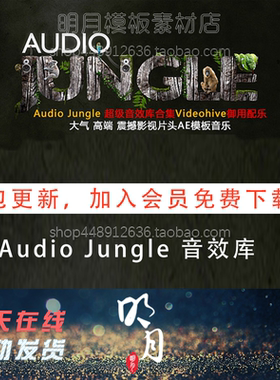 更191期Audio Jungle AJ超级配乐库Videohive音乐配音AudioJungle