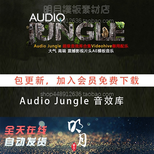 更173期Audio AJ超级配乐库Videohive音乐配音AudioJungle Jungle