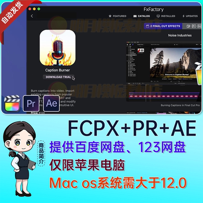 AE/PR/FCPX插件快速批量导入歌词字幕srt文本工具Caption Burner