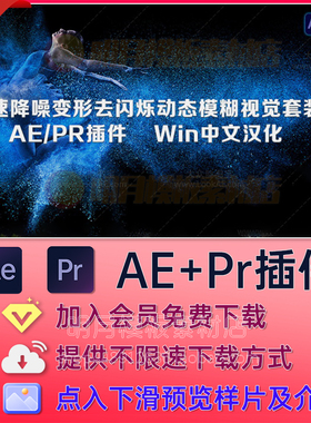 Win汉化版AE/PR视觉特效插件合集 REVisionFX Effections v23.08