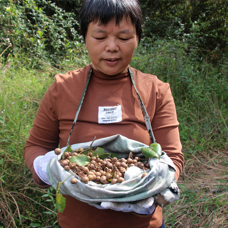 野生鹿梨豆梨沙梨鸟梨棠梨杜梨海棠梨土梨野梨麻梨子酱梨新鲜包