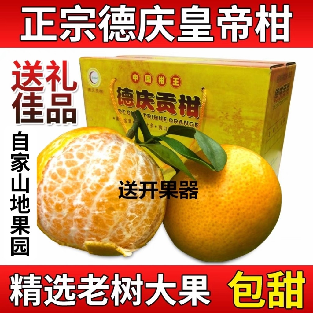 正宗德庆皇帝柑当季水果媛柑沃砂糖老树贡柑山地橘桔子新鲜黄帝柑