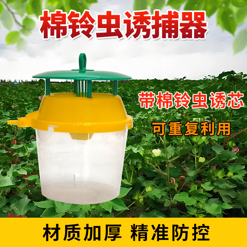 棉铃虫诱捕器信息素桶型诱虫器