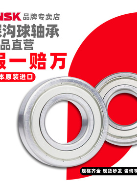 NSK 深沟球轴承 6205ZZCM BH ENSS6 中国合肥品 工业包装 1个 1套