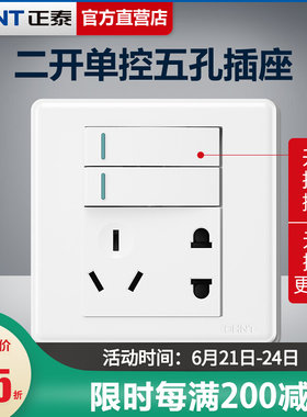 CHNT/正泰二开单控五孔插座