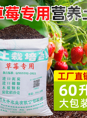 生升农业草莓基质土壤专用土草莓土营养土种植土泥炭土种草莓的土