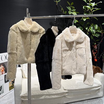 【奶兔冒泡】进口雷克斯獭兔