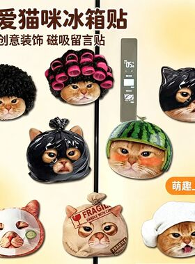 COVERCAT咪瑞联名磁吸冰箱贴自制猫咪冰箱贴装饰家电饰品居家礼物