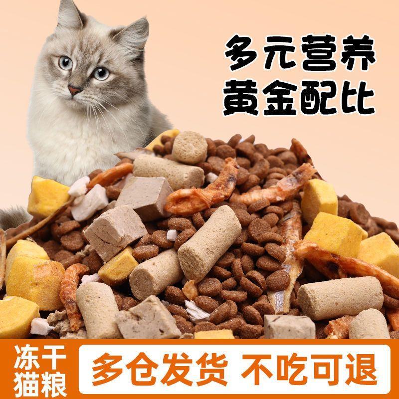 猫粮成猫幼猫通用英短流
