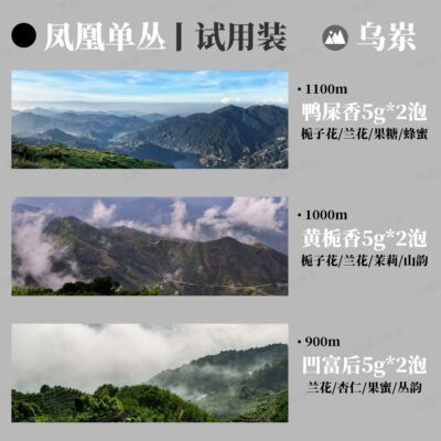 茶圈小学生乌岽单丛组合试用装