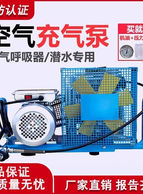 正压式空气呼吸器充气泵消防高压打气机潜水氧气充填泵气瓶30mpa