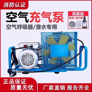 正压式空气呼吸器充气泵消防高压打气机潜水氧气充填泵气瓶30mpa