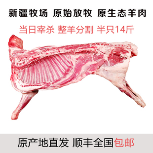 新疆赛里木湖羊肉新鲜整只羊肉半只14斤羊腿羊排原生态顺丰包邮