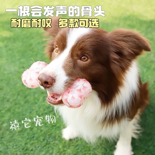 贵为狗狗玩具发声骨头耐咬磨牙