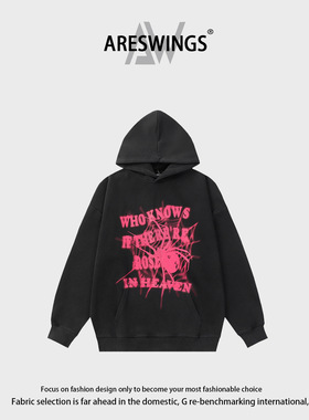 ARESWINGS美式秋冬新款设计感字母蜘蛛印花连帽宽松休闲情侣卫衣