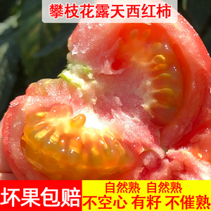 攀枝花新鲜沙瓤西红柿自然熟露天有籽番茄小果9斤5蔬菜水果10大包
