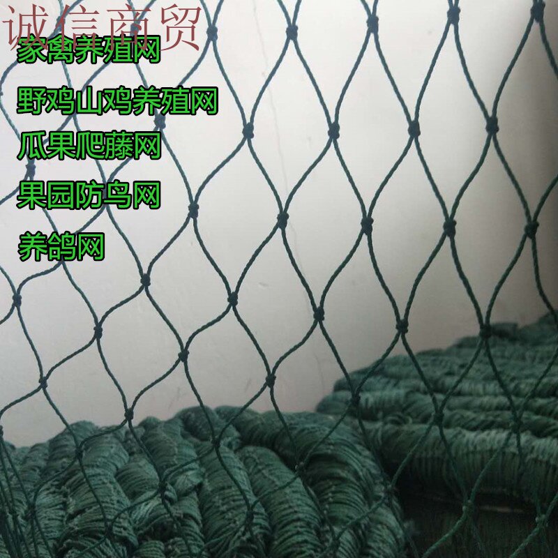鸡网尼龙网挡防鸟遮围果园鱼塘天网栏拦围鸡地网野外爬藤种植攀爬|msdalam kategori penghantaran bunga/bunga simulasi/tumbuhan berkebun, Gardening Supplies, Peralatan Perkebunan lain - dari Buy2taobao.com untuk memberikan perkhidmatan ejen Taobao profesional membeli