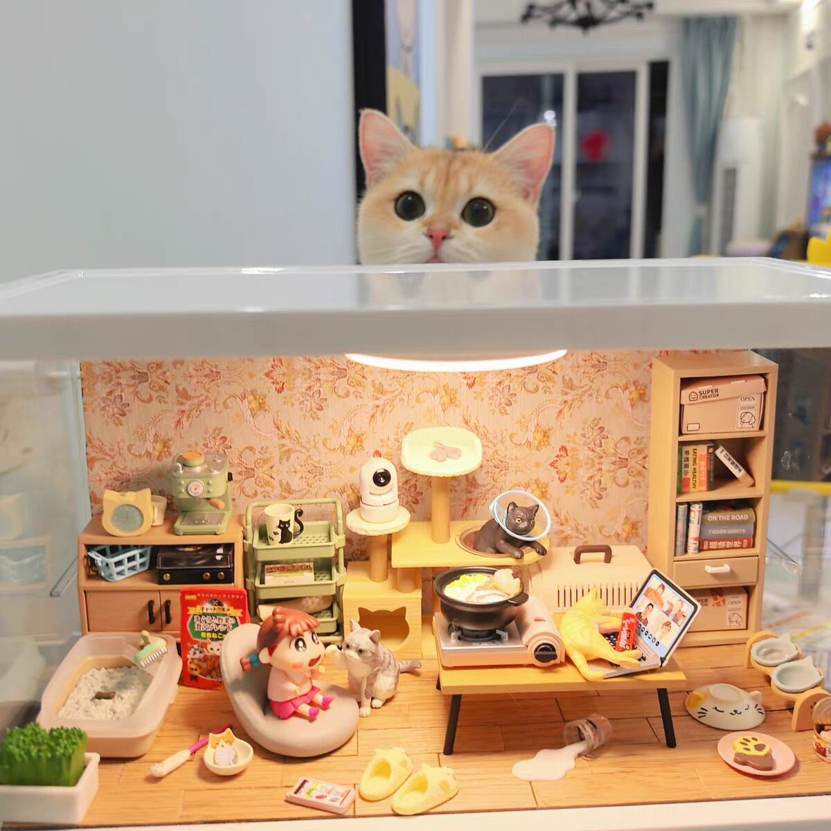 微缩猫咪日常小屋食玩生日礼物