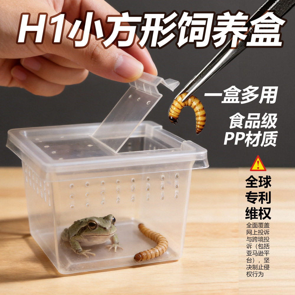 昆虫面包虫蜘蛛跳蛛饲养盒蜈蚣甲虫螳螂蚕宝宝透气塑料养殖小盒子