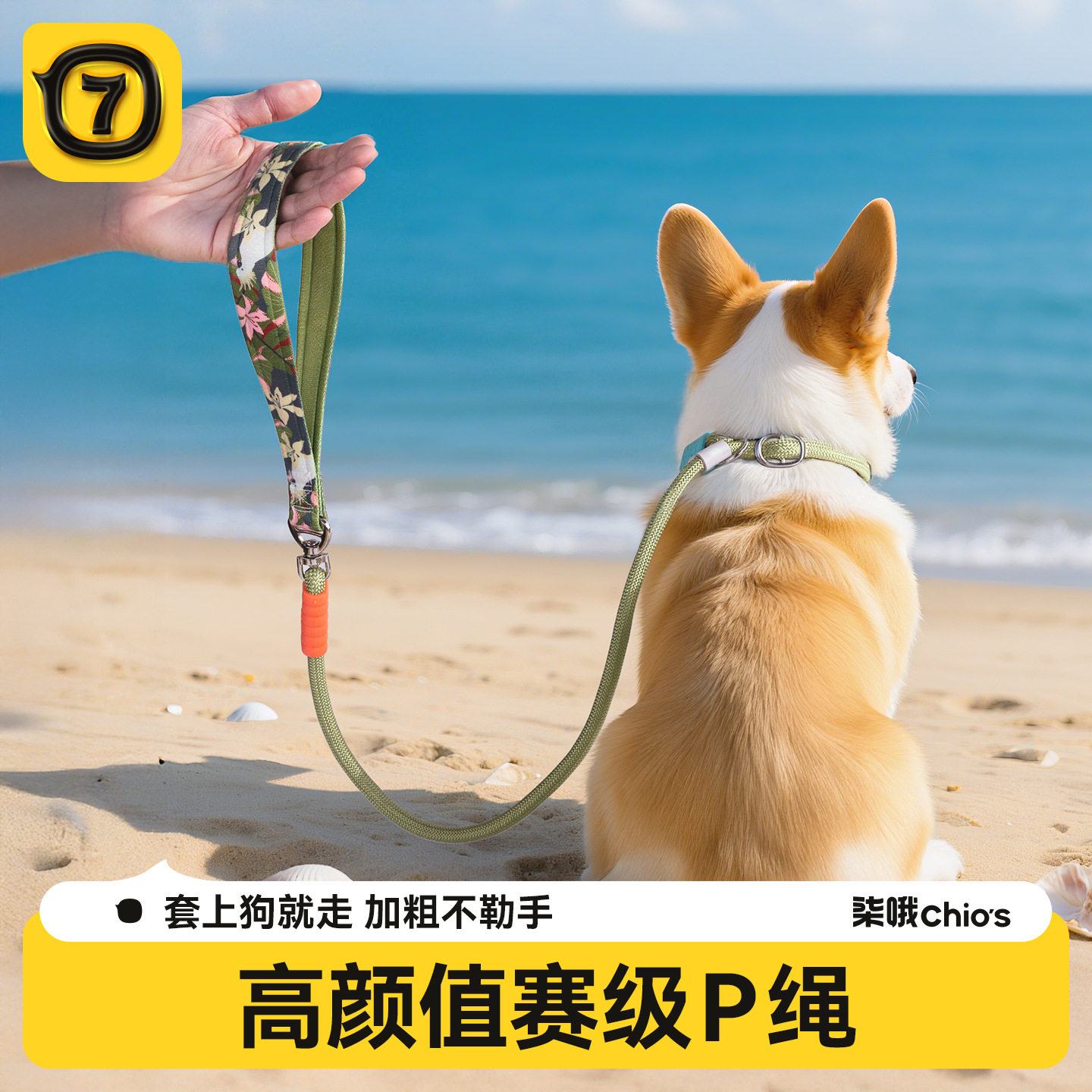 P绳狗狗牵引绳中小型犬外出遛狗链子大狗防爆冲打结宠物牵引绳