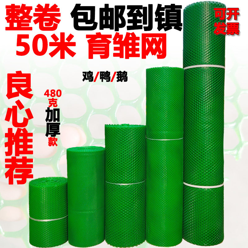 绿色塑料平网格防护养鸡围栏家禽养殖胶网小鸡鸭鹅苗垫网漏粪网片