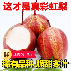 陕西彩虹梨酥梨5斤包邮红皮早酥梨清甜应季新鲜孕妇水果梨整箱