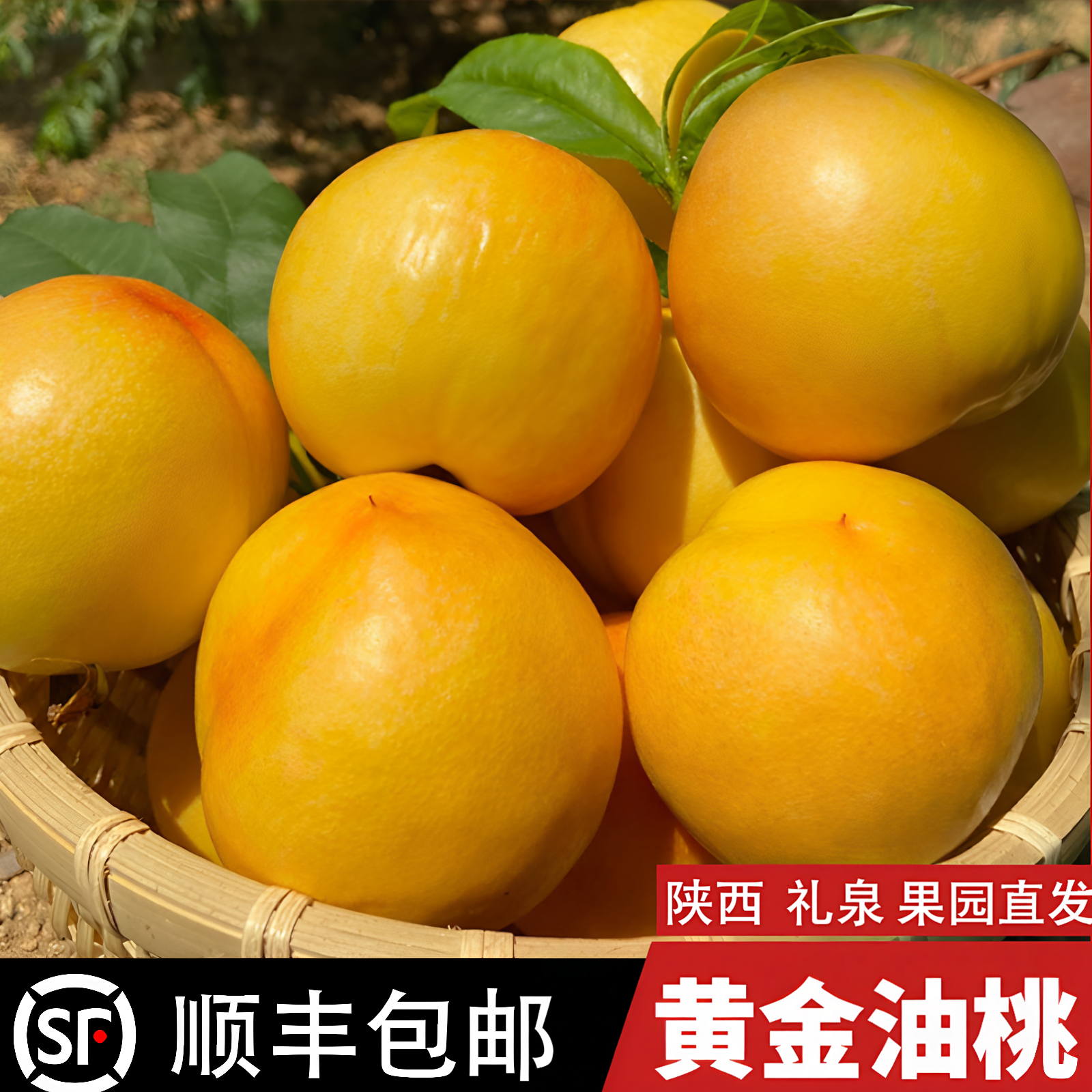 【顺丰包邮】陕西礼泉黄金芒果油桃5斤新鲜当季水果黄肉油桃蜜桃