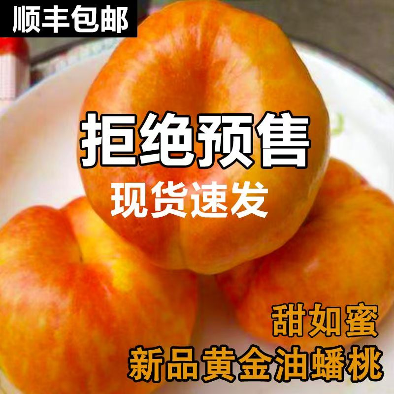顺丰陕西彩虹黄金油蟠桃5斤包邮