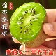 孕妇水果奇异果弥泥猴桃当季 陕西眉县正宗绿心徐香猕猴桃新鲜 包邮