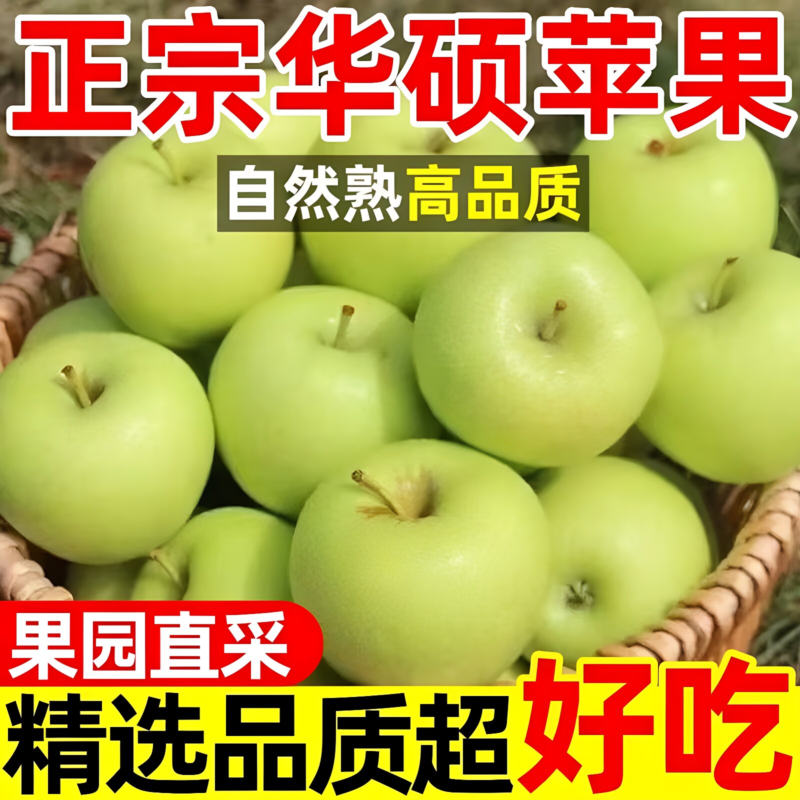 陕西礼泉华硕奶油苹果脆甜10斤大果包邮应当季新鲜水果青红苹果