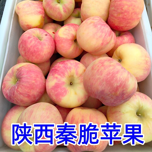 陕西礼泉秦脆苹果脆甜富士苹果大果10斤包邮新鲜包邮当季孕妇水果