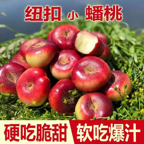 陕西纽扣油桃油蟠桃3斤5斤新鲜包邮应当季孕妇水果油桃整箱桃子批