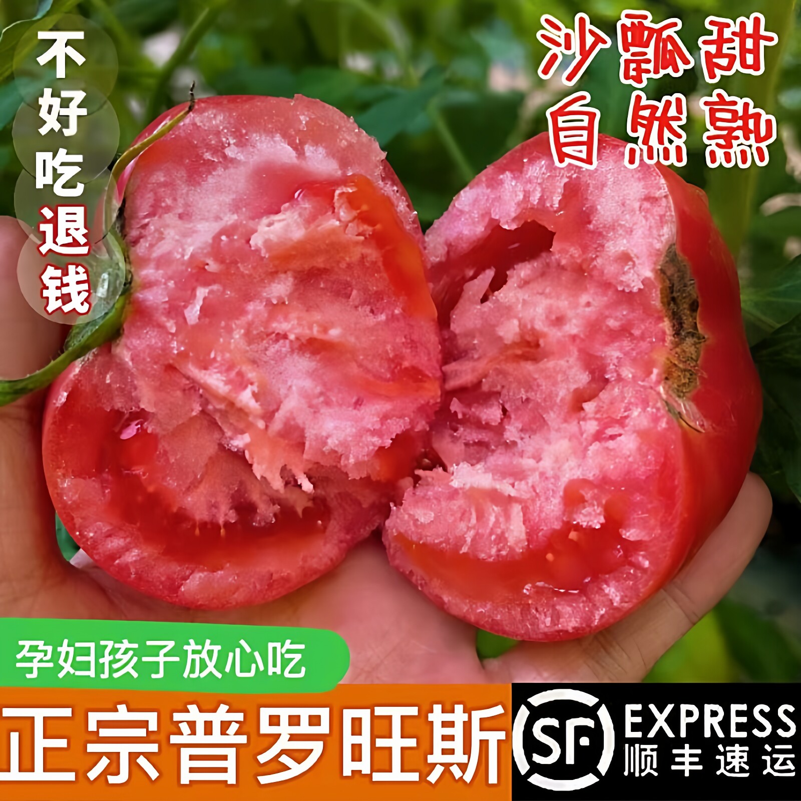 【顺丰包邮】陕西泾阳普罗旺斯西红柿3-5斤新鲜现摘沙瓤生吃番茄