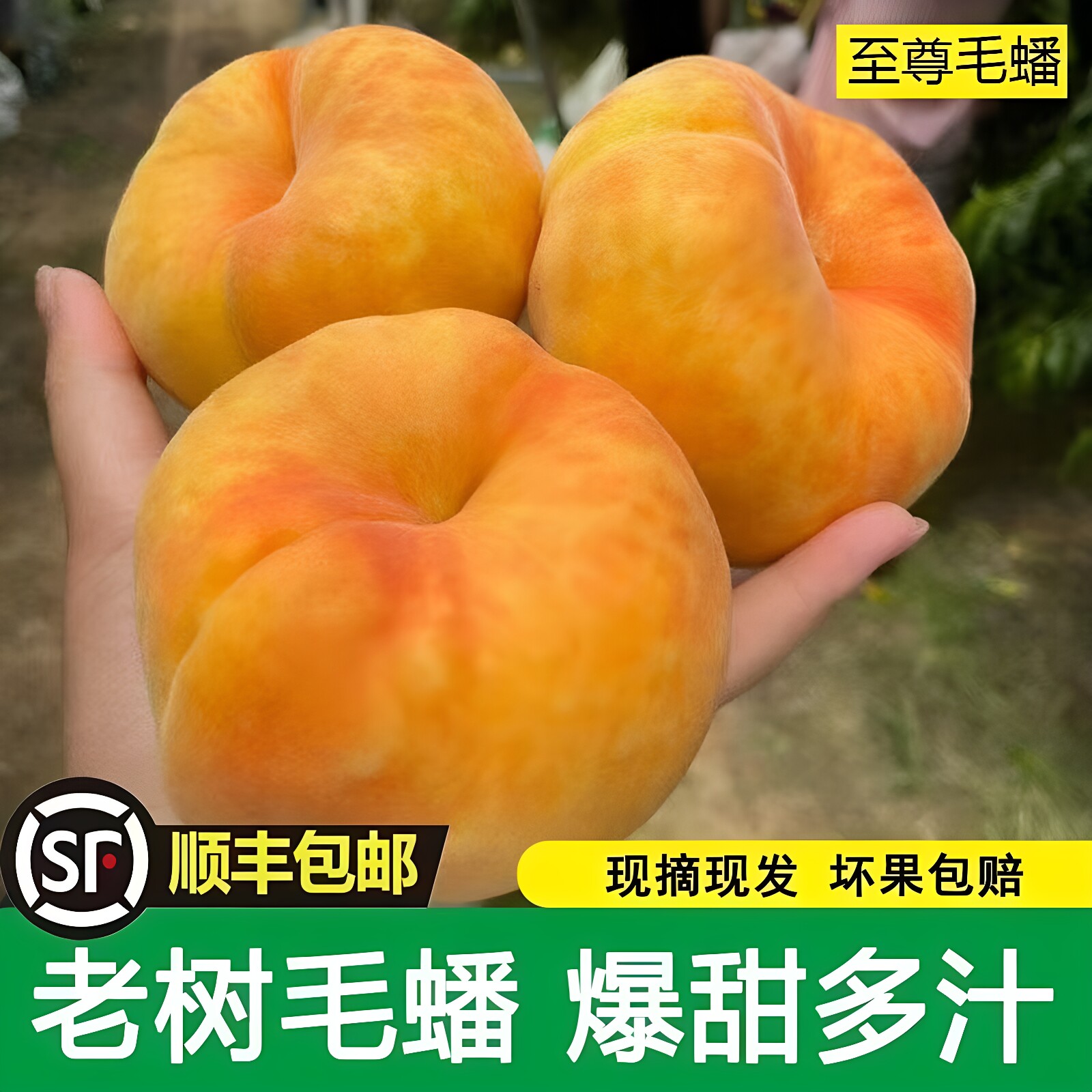 【顺丰包邮】陕西礼泉黄金蟠桃黄毛蟠桃5斤包邮新鲜应季水果扁桃