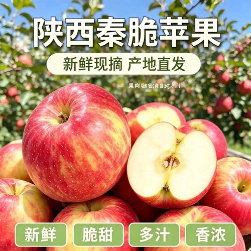 陕西礼泉秦脆苹果脆甜富士苹果10斤包邮新鲜当季新鲜水果红苹果