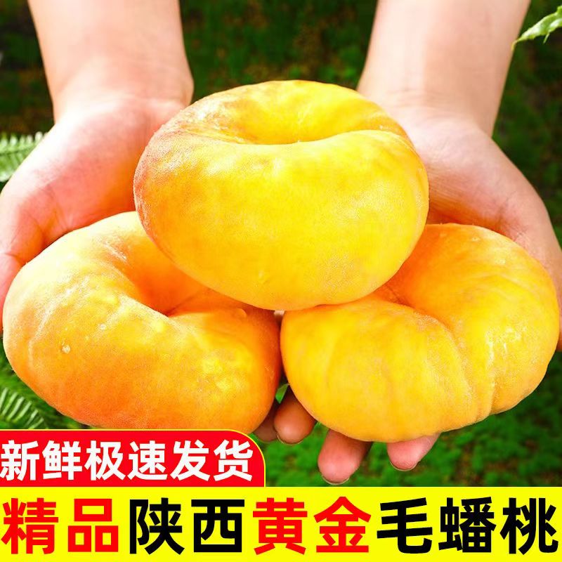陕西礼泉黄金蟠桃黄毛蟠桃5斤新鲜包邮应季水果孕妇甜蜜桃扁桃子
